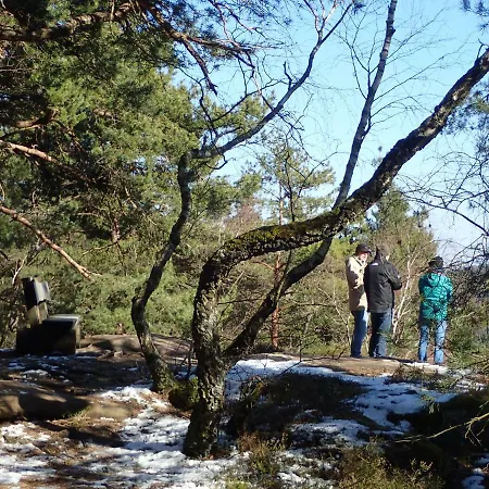 公寓 Feriengaleriewohnung Im Denkmal Stilvoll-komfortabel Baubiologisch Erlenbach (Rhineland-Palatinate)