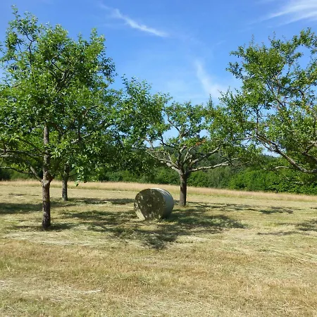 Feriengaleriewohnung Im Denkmal Stilvoll-komfortabel Baubiologisch