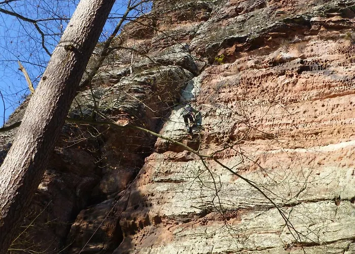 Feriengaleriewohnung Im Denkmal Stilvoll-komfortabel Baubiologisch *