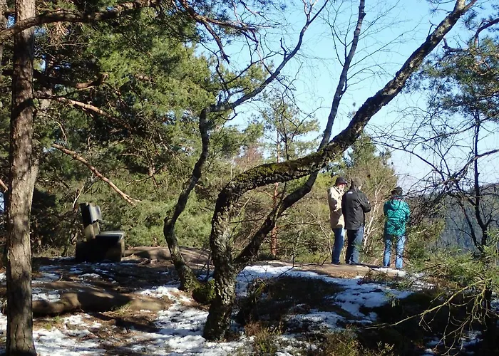 Apartamento Feriengaleriewohnung Im Denkmal Stilvoll-komfortabel Baubiologisch Erlenbach (Rhineland-Palatinate)