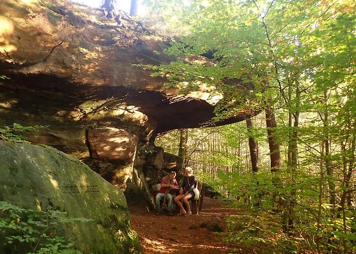 Apartamento Feriengaleriewohnung Im Denkmal Stilvoll-komfortabel Baubiologisch *