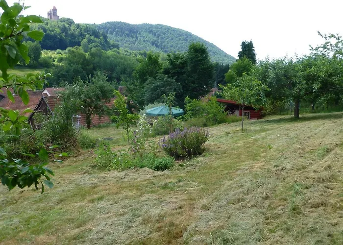 Feriengaleriewohnung Im Denkmal Stilvoll-komfortabel Baubiologisch * Erlenbach (Rhineland-Palatinate)