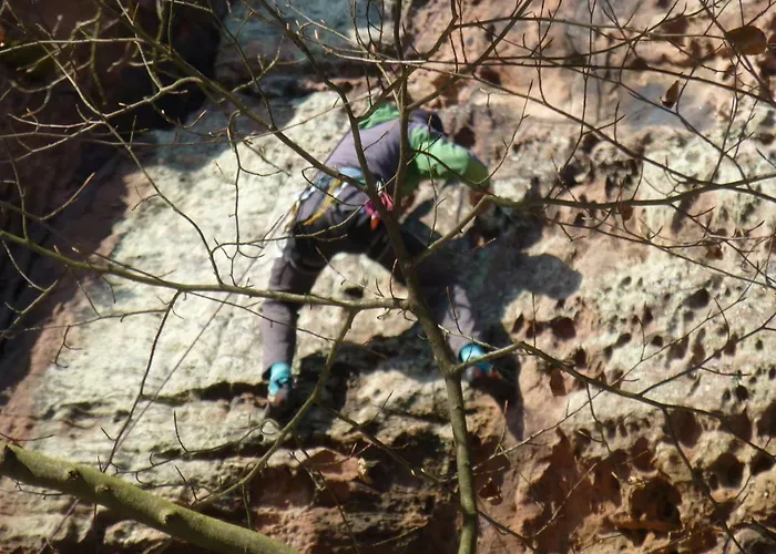 Feriengaleriewohnung Im Denkmal Stilvoll-komfortabel Baubiologisch Apartamento