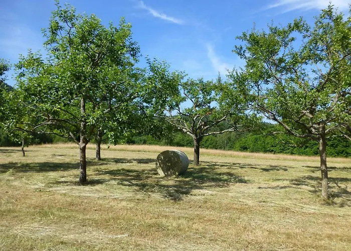 Feriengaleriewohnung Im Denkmal Stilvoll-komfortabel Baubiologisch